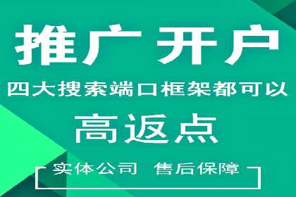 网站SEM托管服务成功案例分享